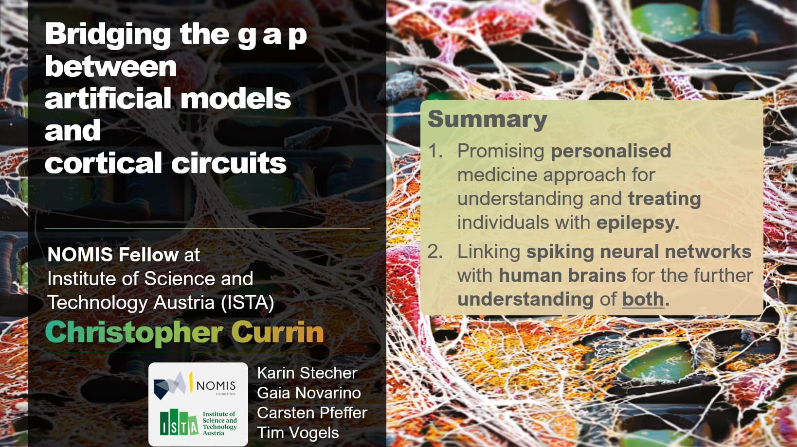 Bridging the gap between artificial models and cortical circuits